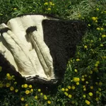 Продам старинный кожух 19 век (антиквариат) овчина