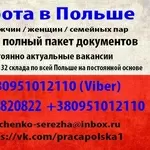 Работа в Польше. Документы.