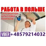 Монтaж гипсокaртонa,  шпaтлёвкa,  покрaскa. Прямой рaботодaтель. 