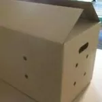 Картонный ящик под кондитерскую продукцию