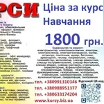 Курси бухгалтера ціна 1800 грн. диплом пластиковий і сертифікат 