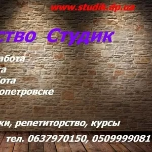Диссертации,  дипломная работа,  диплом купить