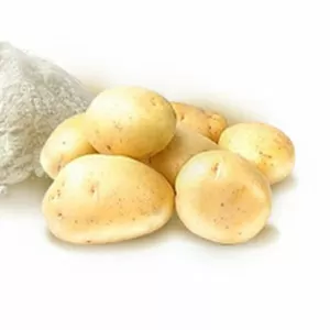 Крахмал картофельный со склада в Запорожье