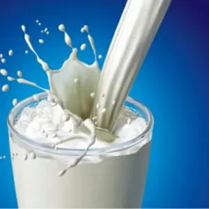 Куплю: молоко,  молочние продукти