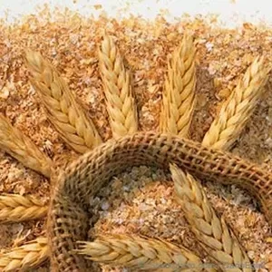 Компания производит и реализует пшеничные отруби