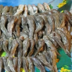 Продам рыбу - бычки черноморские