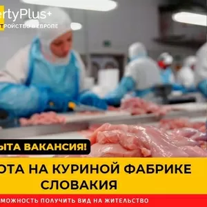 Словакия. Фабрика по переработке куриного мяса. ЗП 1200 евро чистыми