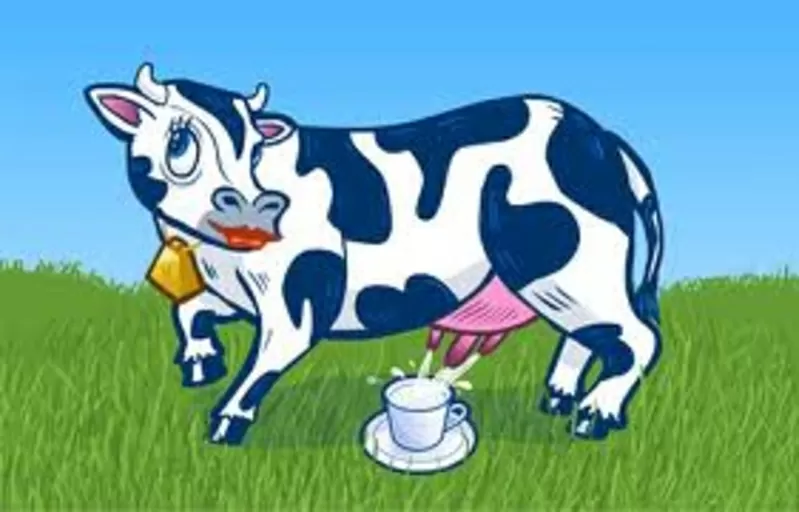 продажа домашнего коровьего молока