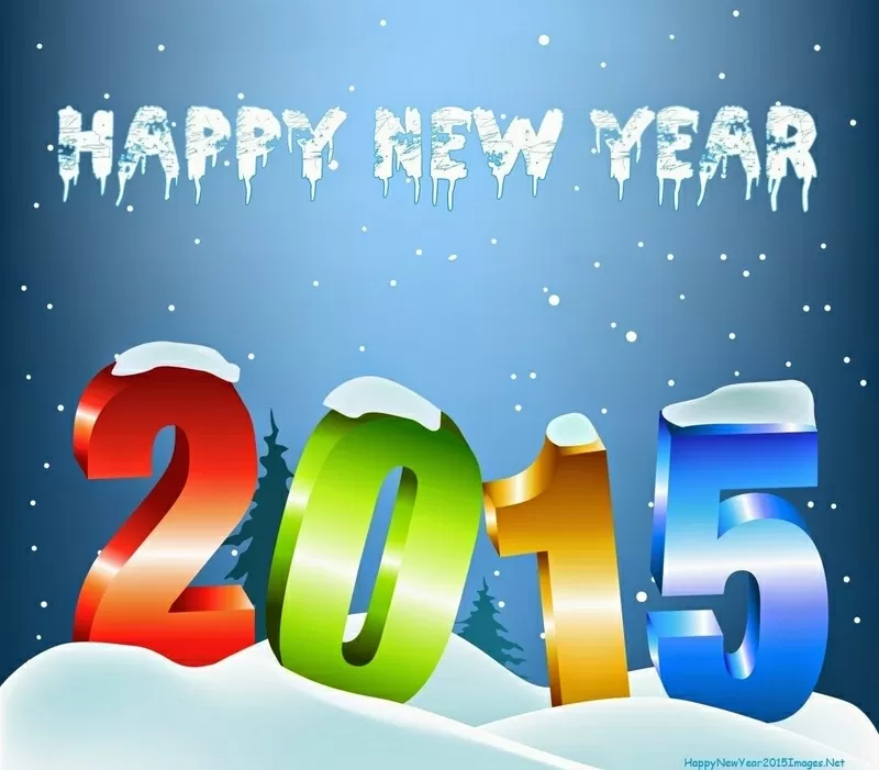 Новогодний тур 2015 по Закарпатью 4