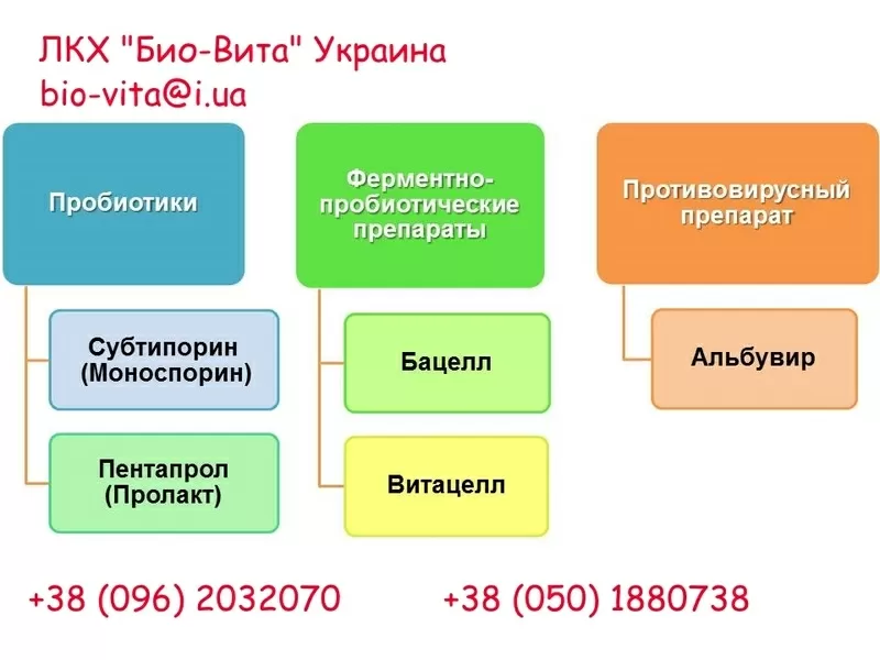 Кормовая добавка ферментно-пробиотическая 