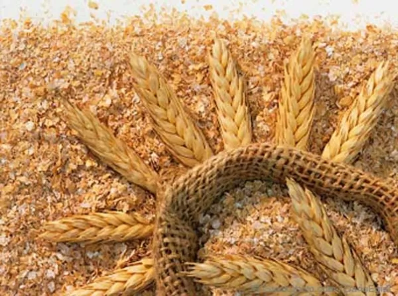 Компания производит и реализует пшеничные отруби
