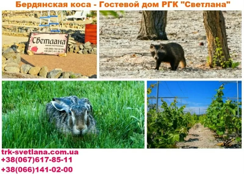 Отдых возле моря Бердянск снять у владельца дом на Косе 4