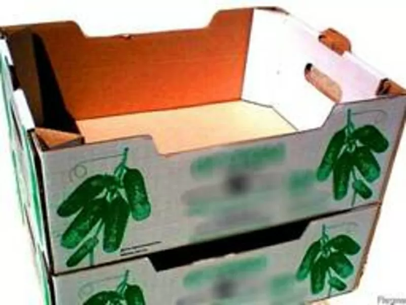 Продам картонный лоток под овощи ( помидор, огурец, перец, капусту) 